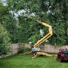 Best Arborist Consultation Services  in Olivet, NJ