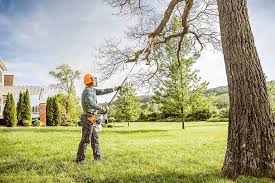 Best Lot and Land Clearing  in Olivet, NJ